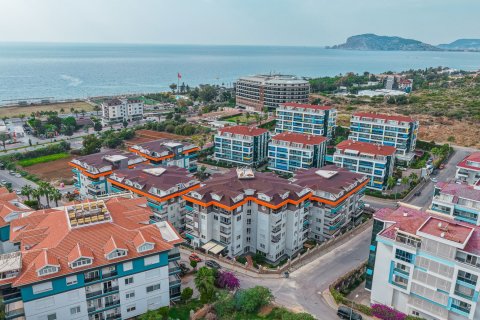 1+1 Lägenhet  i Kestel, Antalya, Turkiet Nr. 218044 - 4