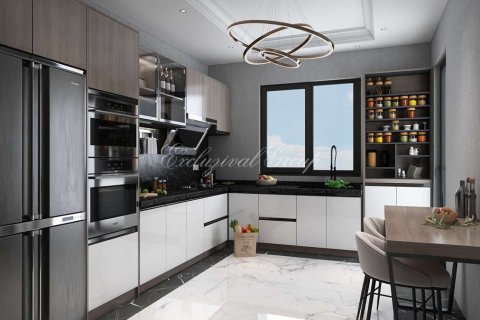 2+1 Leilighet i Istanbul, Tyrkia Nr. 212186 - 9