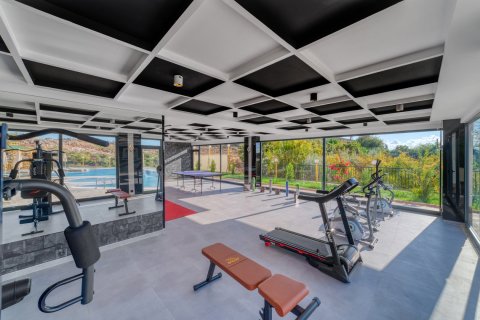 1+1 Leilighet  i Kestel, Antalya, Tyrkia Nr. 224464 - 12