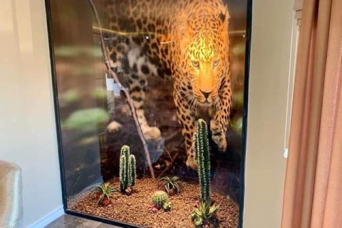 4+1 Villa  i Antalya, Tyrkia Nr. 222824 - 8