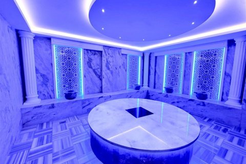 1+1 Wohnung  in Oba, Antalya, Türkei Nr. 218975 - 10