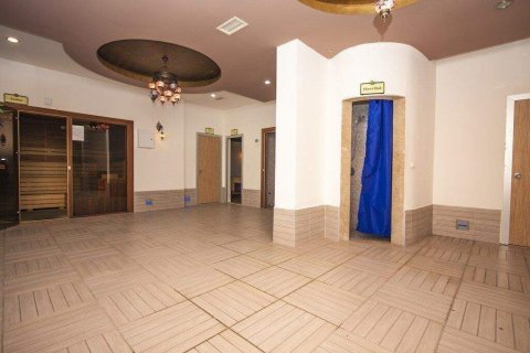 3+1 Takvåning i Avsallar, Antalya, Turkiet Nr. 229203 - 25