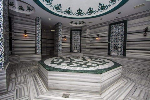 3+1 Takvåning i Avsallar, Antalya, Turkiet Nr. 229203 - 23