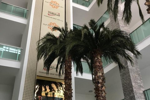 2+1 Wohnung  in Alanya, Antalya, Türkei Nr. 218125 - 14