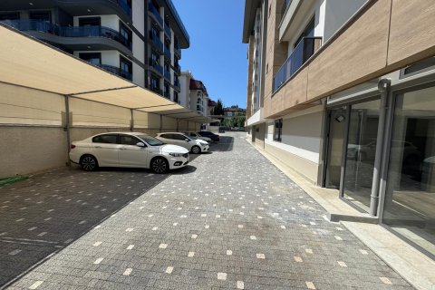 1+1 Lägenhet  i Kestel, Antalya, Turkiet Nr. 218130 - 14