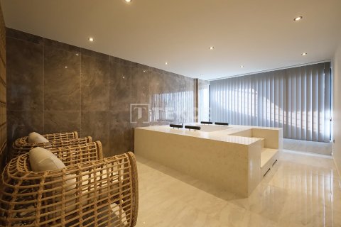 2+1 Penthäuser  in Alanya, Antalya, Türkei Nr. 222429 - 17