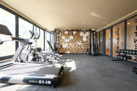 2+1 Penthäuser  in Alanya, Antalya, Türkei Nr. 222429 - 11