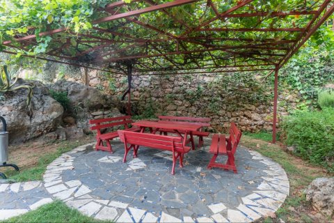 1+1 Lejlighed  i Alanya, Antalya, Tyrkiet Nr. 219359 - 15