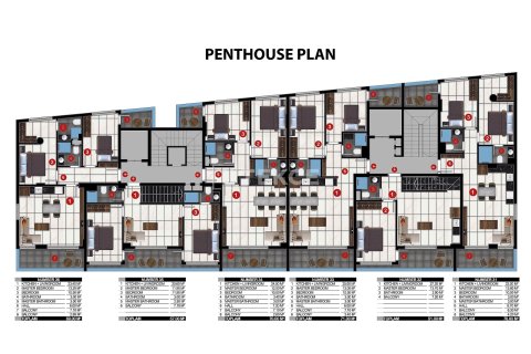 6+2 Penthäuser  in Alanya, Antalya, Türkei Nr. 213767 - 24