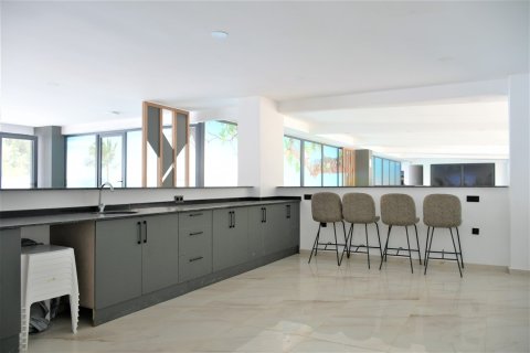 1+0 Wohnung in Avsallar, Antalya, Türkei Nr. 225095 - 11