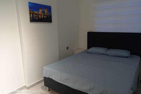 1+0 Wohnung in Avsallar, Antalya, Türkei Nr. 225095 - 5