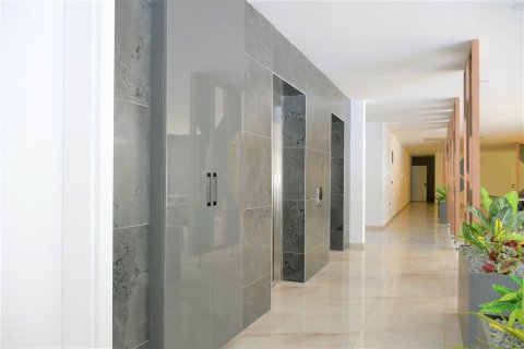 1+0 Wohnung in Avsallar, Antalya, Türkei Nr. 225095 - 9