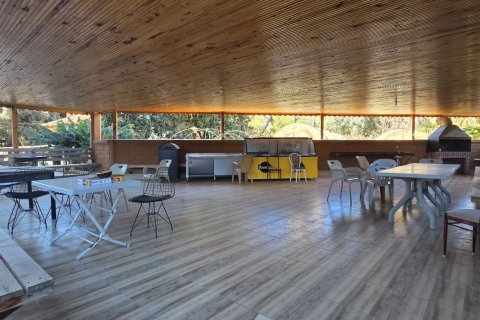 1+1 Leilighet i Alanya, Antalya, Tyrkia Nr. 225451 - 14