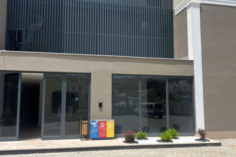 2+1 Leilighet i Alanya, Antalya, Tyrkia Nr. 225452 - 15