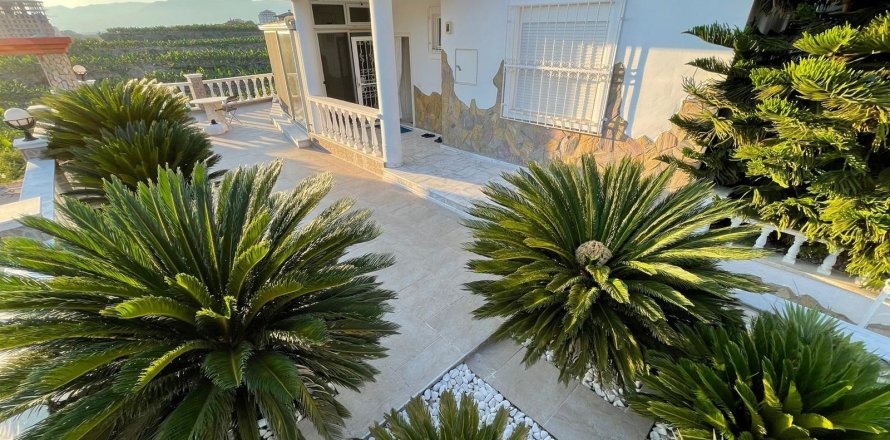 Apartment  in Alanya, Antalya, Turkey No. 213480