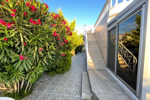 Apartment for sale  in Alanya, Antalya, Turkey, 230m2, No. 213480 – photo 29