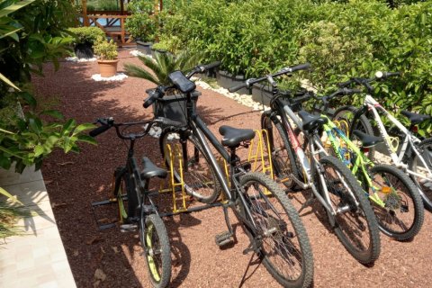 Daire  3+1  Antalya, Türkiye №223104 - 13