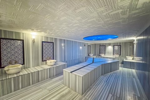 2+1 Lägenhet  i Alanya, Antalya, Turkiet Nr. 223106 - 10