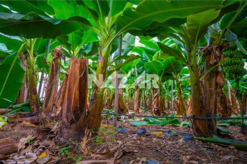 Продажа квартиры  в Газипаше, Анталье, Турция, 5163м2, №223103 – фото 26