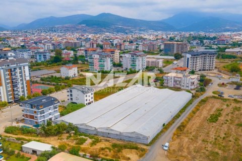 Продажа квартиры  в Газипаше, Анталье, Турция, 5163м2, №223103 – фото 6