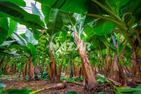 Продажа квартиры  в Газипаше, Анталье, Турция, 5163м2, №223103 – фото 24