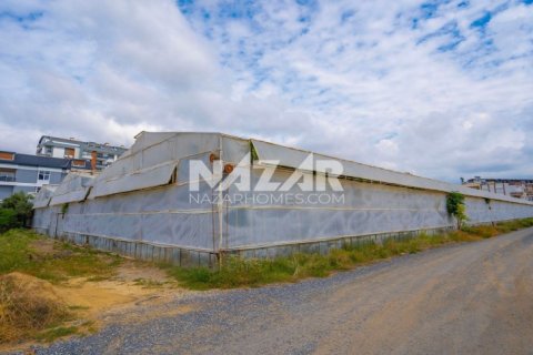 Продажа квартиры  в Газипаше, Анталье, Турция, 5163м2, №223103 – фото 22