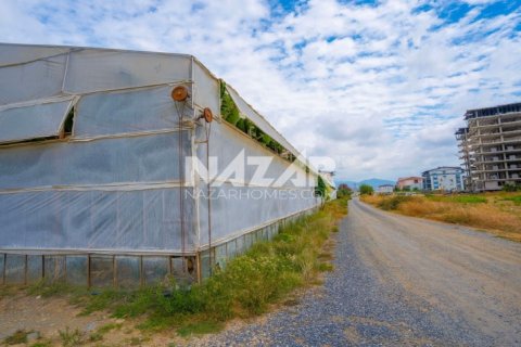 Продажа квартиры  в Газипаше, Анталье, Турция, 5163м2, №223103 – фото 14