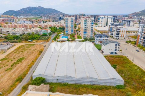 Продажа квартиры  в Газипаше, Анталье, Турция, 5163м2, №223103 – фото 3