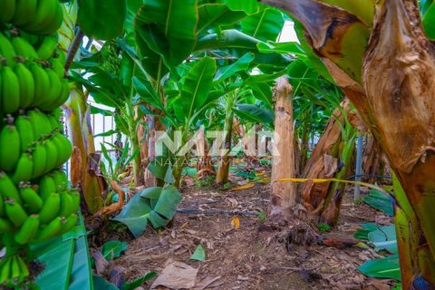 Продажа квартиры  в Газипаше, Анталье, Турция, 5163м2, №223103 – фото 19