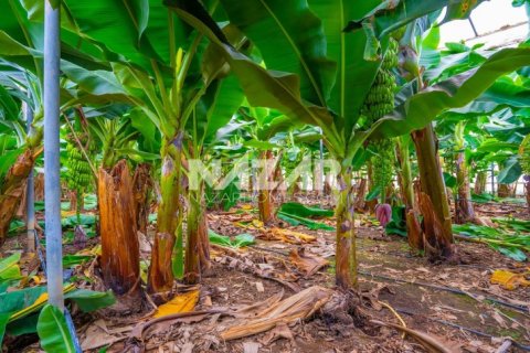 Продажа квартиры  в Газипаше, Анталье, Турция, 5163м2, №223103 – фото 21