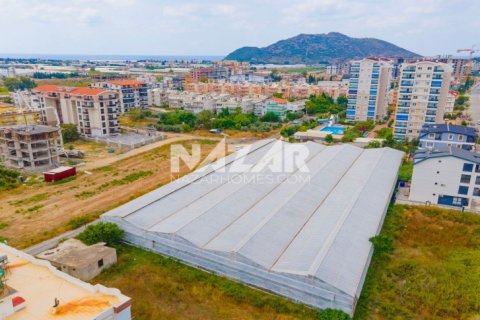 Продажа квартиры  в Газипаше, Анталье, Турция, 5163м2, №223103 – фото 12