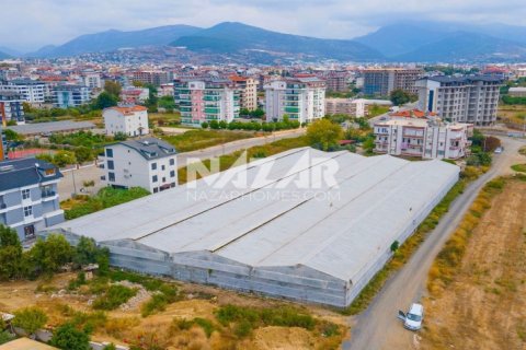 Продажа квартиры  в Газипаше, Анталье, Турция, 5163м2, №223103 – фото 9