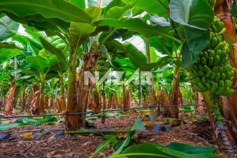 Продажа квартиры  в Газипаше, Анталье, Турция, 5163м2, №223103 – фото 25