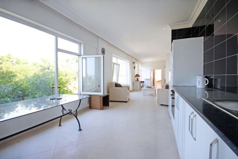 7+1 Villa i Kestel, Antalya, Turkiet Nr. 238097 - 13