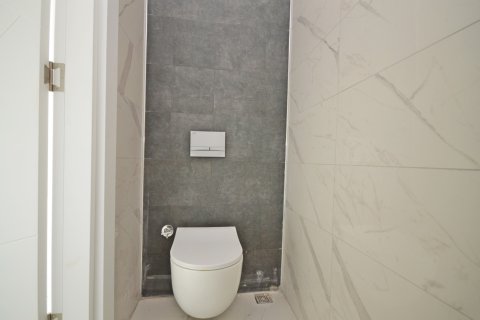 4+1 Wohnung  in Alanya, Antalya, Türkei Nr. 216828 - 10