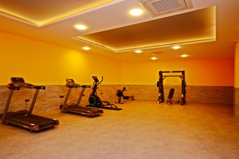 4+1 Wohnung  in Alanya, Antalya, Türkei Nr. 216828 - 28