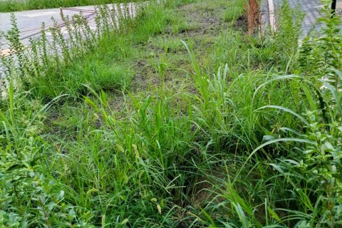 1+1 Wohnung  in Alanya, Antalya, Türkei Nr. 216830 - 27