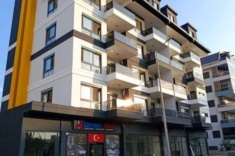 1+1 Wohnung  in Alanya, Antalya, Türkei Nr. 216830 - 12