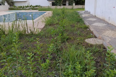 1+1 Wohnung  in Alanya, Antalya, Türkei Nr. 216830 - 9