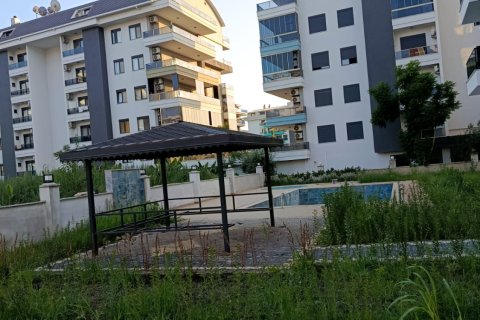 1+1 Wohnung  in Alanya, Antalya, Türkei Nr. 216830 - 13