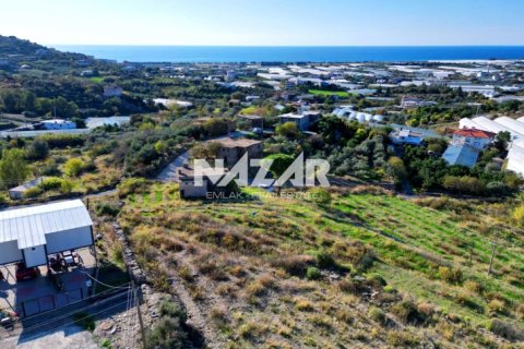 Продажа квартиры  в Газипаше, Анталье, Турция, 1366м2, №215461 – фото 12