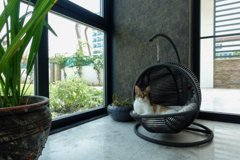 2+1 Leilighet  i Kestel, Antalya, Tyrkia Nr. 10705 - 12