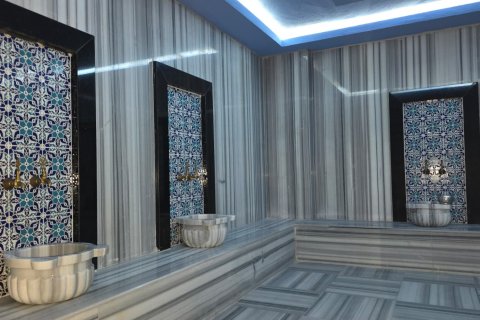 1+1 Wohnung  in Alanya, Antalya, Türkei Nr. 216791 - 4