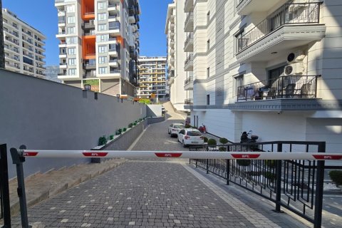 1+1 Wohnung  in Alanya, Antalya, Türkei Nr. 216791 - 12