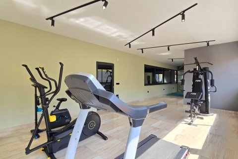 1+1 Wohnung  in Alanya, Antalya, Türkei Nr. 216791 - 15