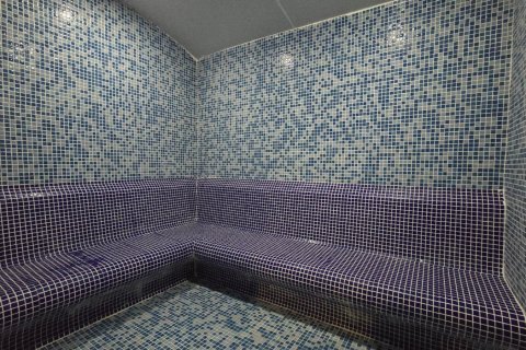 1+1 Wohnung  in Alanya, Antalya, Türkei Nr. 216791 - 7