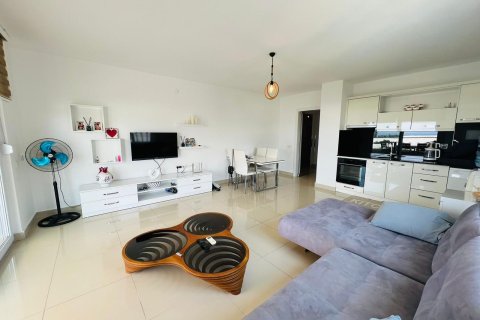 3+1 Wohnung  in Alanya, Antalya, Türkei Nr. 216790 - 6