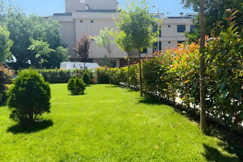 3+1 Leilighet i Kadikoy, Istanbul, Tyrkia Nr. 228613 - 2