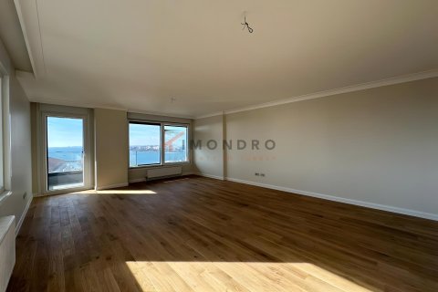 3+1 Lägenhet i Kadikoy, Istanbul, istanbul, Turkiet Nr. 228612 - 15