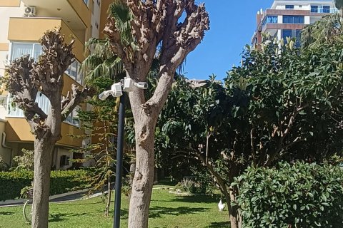 4+1 Leilighet i Mahmutlar, Antalya, Tyrkia Nr. 223409 - 28